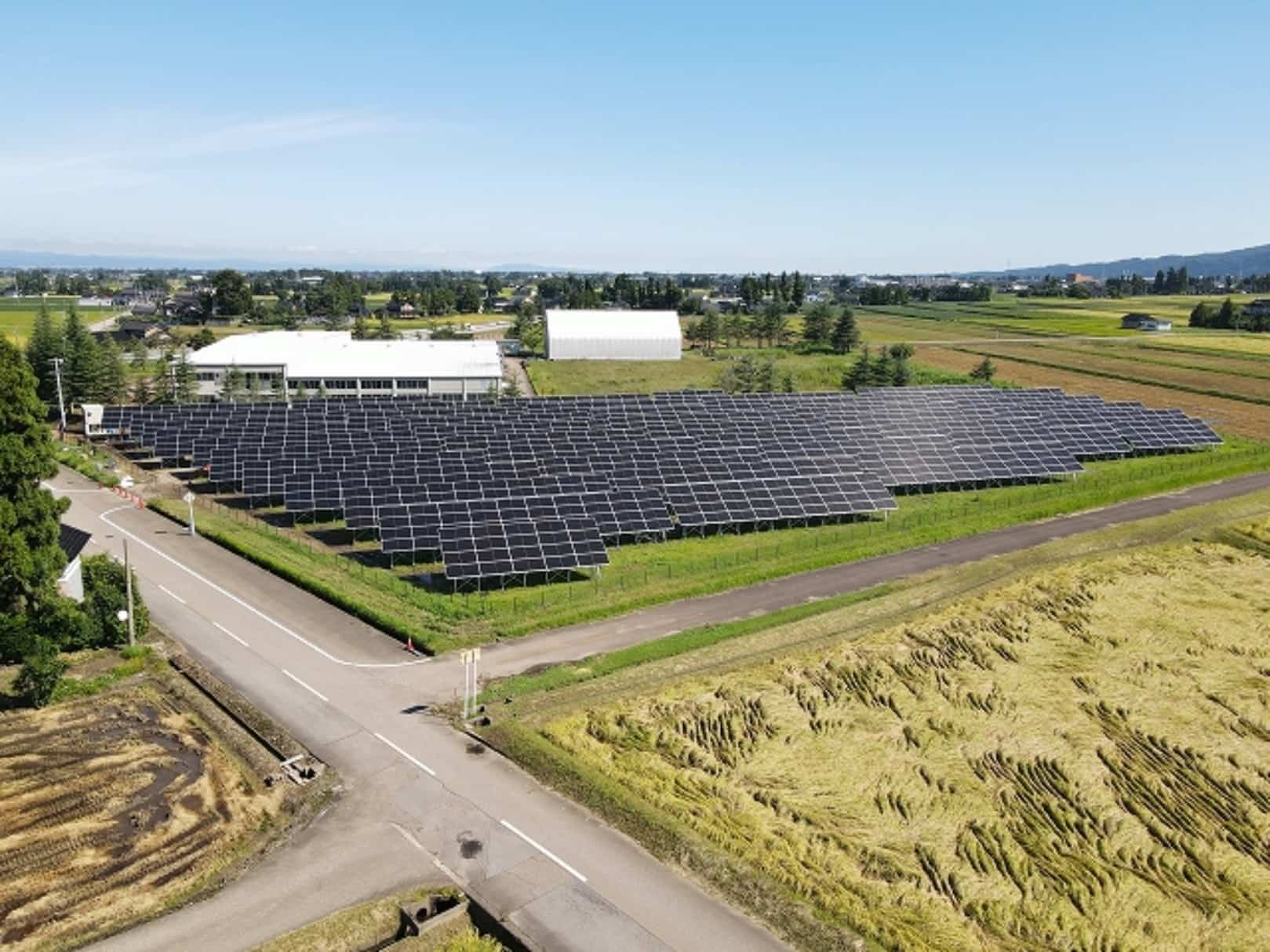 Solar Farm Construction